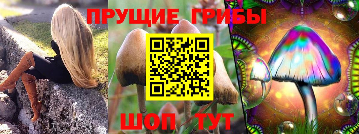 Галлюциногенные грибы Cubensis Шадринск