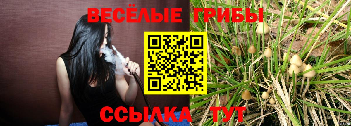 Шадринск  Псилоцибиновые грибы прущие грибы  Вход с VPN 