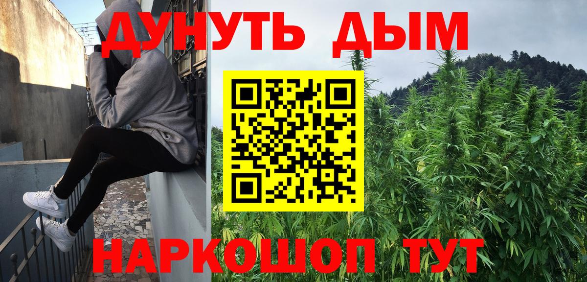 Бошки марихуана конопля Шадринск
